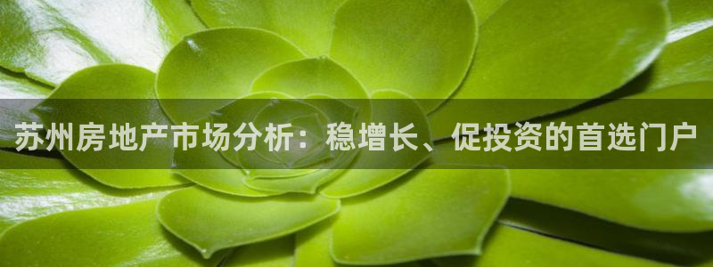 新宝堂新会陈皮5年：苏州房地产市场分析：稳增长、促投资的首选