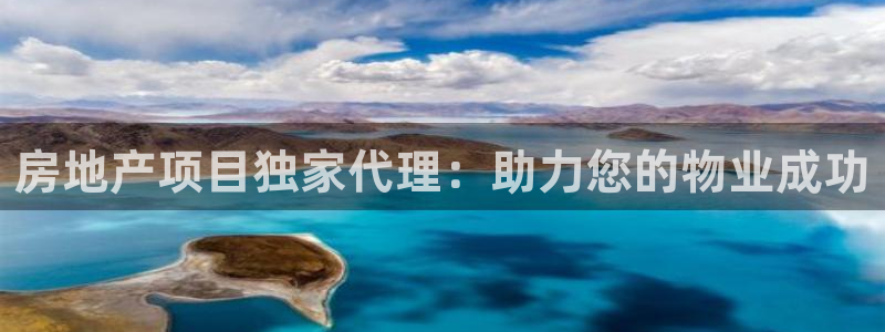 新宝5代理注册：房地产项目独家代理：助力您的物业成功