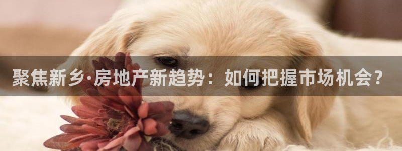 2022新宝骏rs 5：聚焦新乡·房地产新趋势：如何把握市场