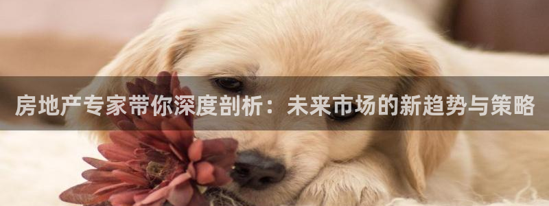 新宝5测速在线：房地产专家带你深度剖析：未来市场的新趋势与策