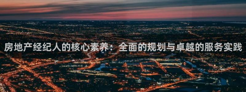 新宝5平台登录下载软件：房地产经纪人的核心素养：全面的规划与
