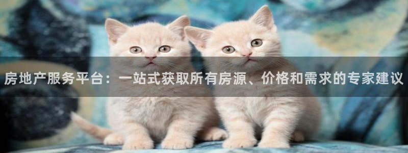 新宝5彩票平台登陆：房地产服务平台：一站式获取所有房源、价格