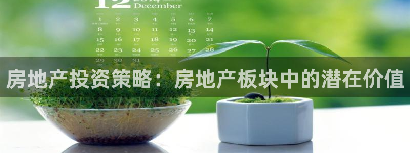新宝5手机版：房地产投资策略：房地产板块中的潜在价值
