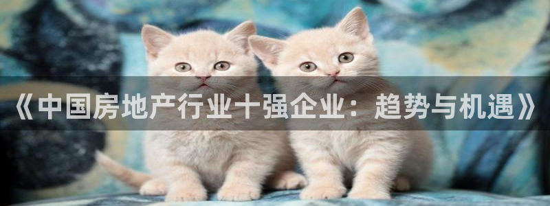 新宝5注册平台：《中国房地产行业十强企业：趋势与机遇》