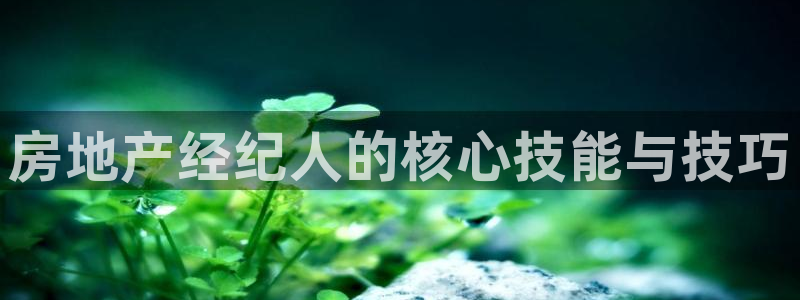 新宝5导师：房地产经纪人的核心技能与技巧