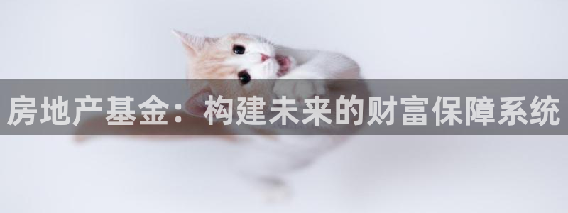 新宝5电脑：房地产基金：构建未来的财富保障系统