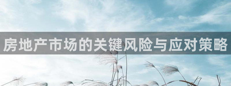 新宝5黑：房地产市场的关键风险与应对策略