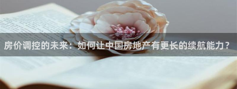 新宝5挂机软件：房价调控的未来：如何让中国房地产有更长的续航