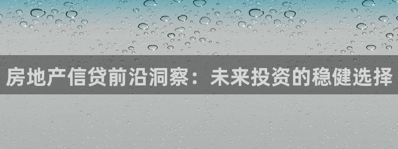新宝5测速下载：房地产信贷前沿洞察：未来投资的稳健选择