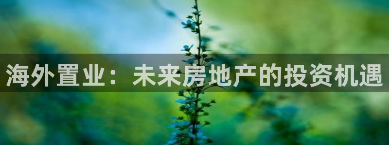 新宝5主管：海外置业：未来房地产的投资机遇