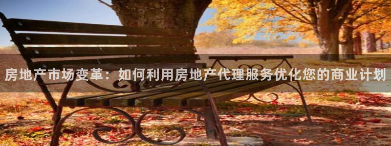 新宝xb5：房地产市场变革：如何利用房地产代理服务优化您的商