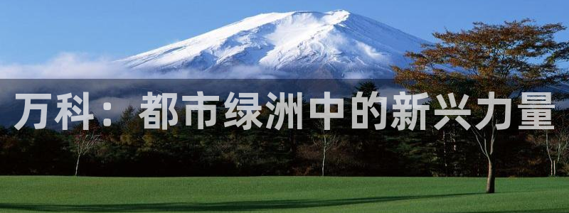 新宝堂新会陈皮5年：万科：都市绿洲中的新兴力量