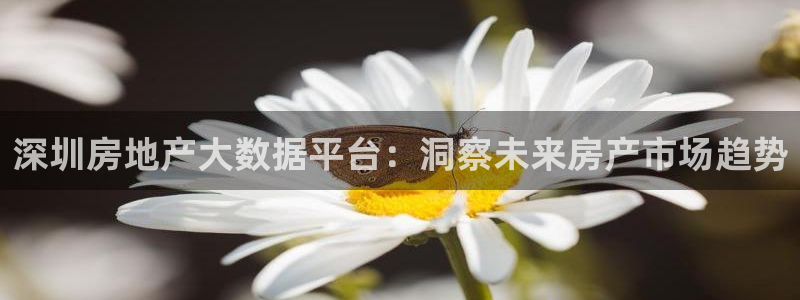 新宝5注册账号：深圳房地产大数据平台：洞察未来房产市场趋势