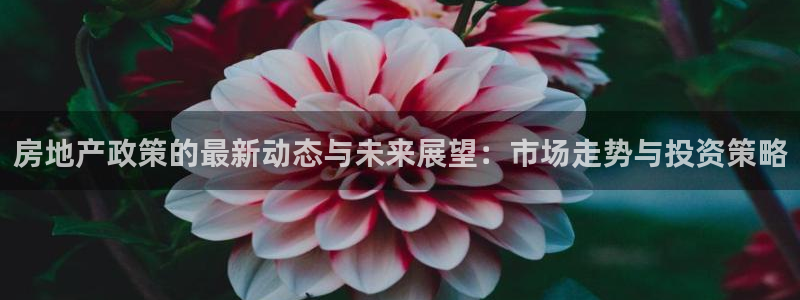 新宝5账号注册：房地产政策的最新动态与未来展望：市场走势与投