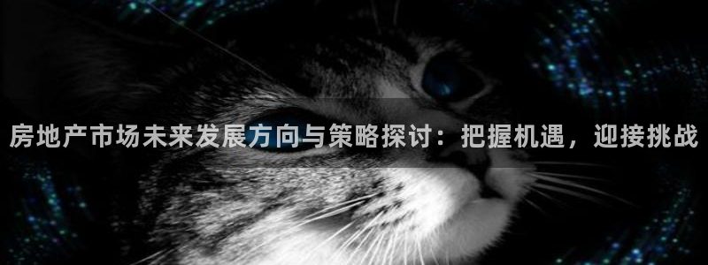 新宝5户端