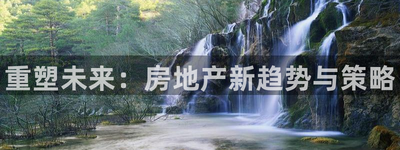 新宝5平台注册：重塑未来：房地产新趋势与策略