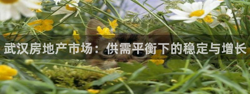 新宝5d：武汉房地产市场：供需平衡下的稳定与增长
