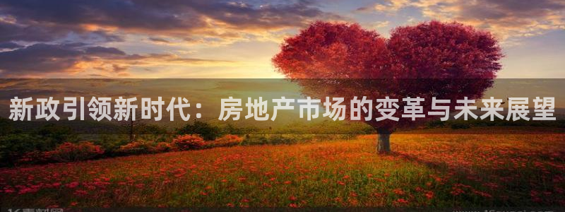 新宝5手机app：新政引领新时代：房地产市场的变革与未来展望