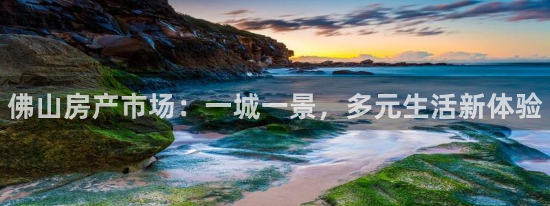 新宝娱乐5：佛山房产市场：一城一景，多元生活新体验
