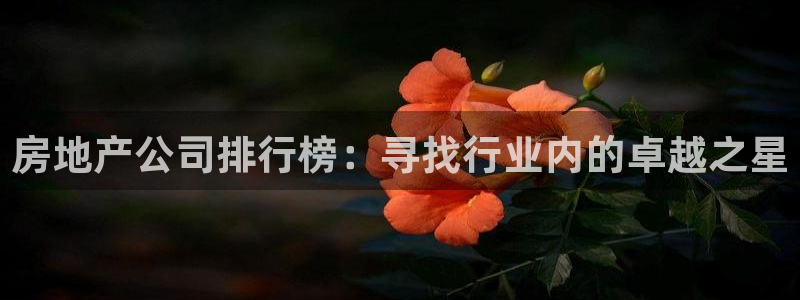 新宝5登录注册：房地产公司排行榜：寻找行业内的卓越之星