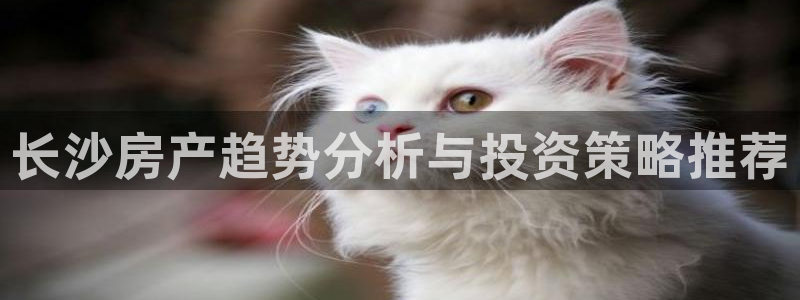 新宝5是什么样子的：长沙房产趋势分析与投资策略推荐