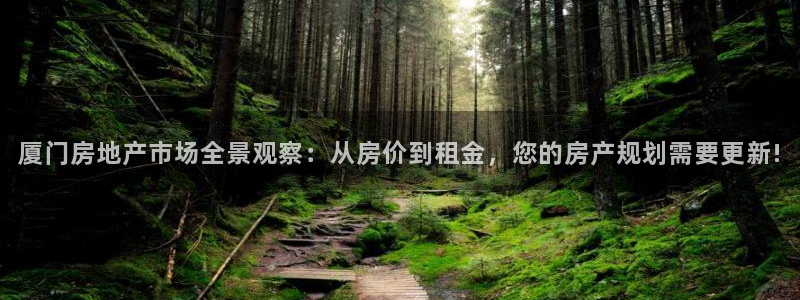 新宝5源码：厦门房地产市场全景观察：从房价到租金，您的房产规