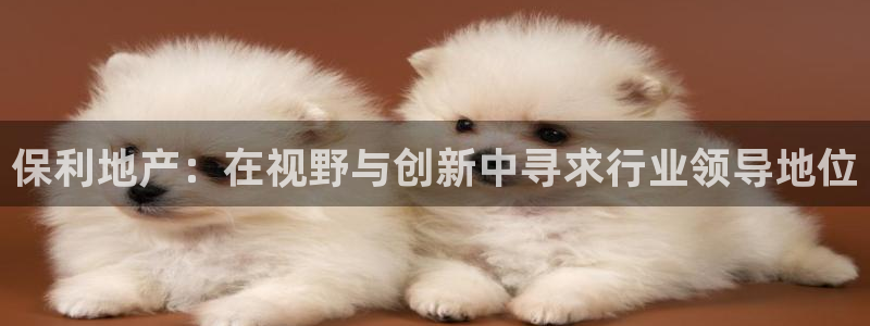 新宝奇迹GG5：保利地产：在视野与创新中寻求行业领导地位