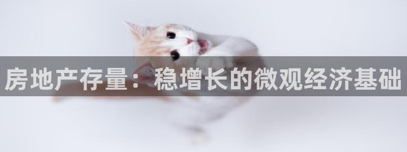 新宝5娱乐注：房地产存量：稳增长的微观经济基础