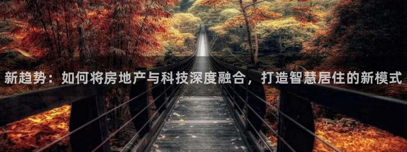 新宝5客户端登录：新趋势：如何将房地产与科技深度融合，打造智