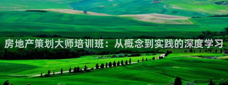 新宝5注册首页：房地产策划大师培训班：从概念到实践的深度学习