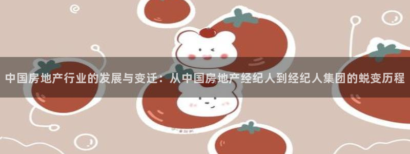 新宝5开户：中国房地产行业的发展与变迁：从中国房地产经纪人到