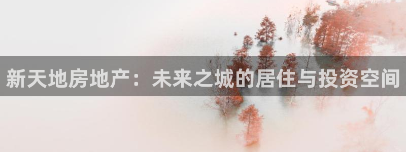 新宝5app：新天地房地产：未来之城的居住与投资空间