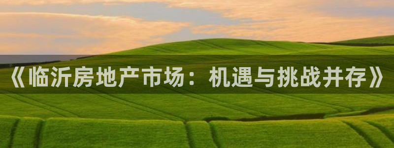 新宝5招商部：《临沂房地产市场：机遇与挑战并存》
