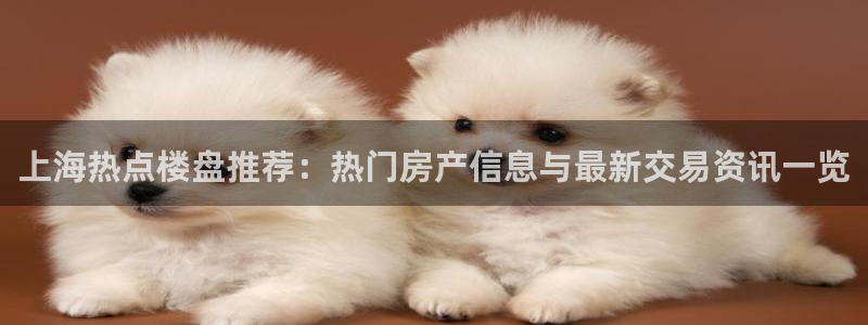 新宝5为啥开：上海热点楼盘推荐：热门房产信息与最新交易资讯一