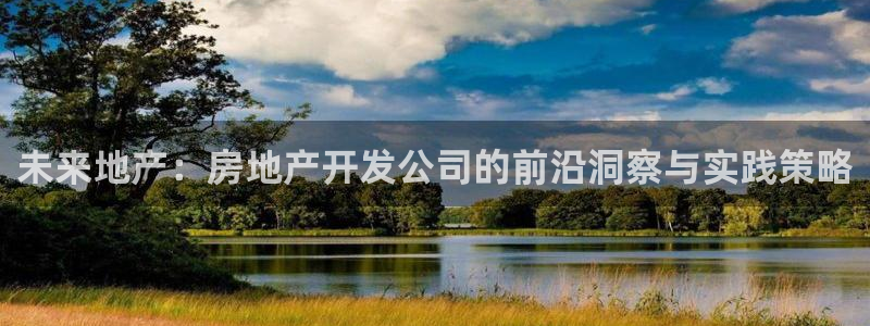 新宝5手机版：未来地产：房地产开发公司的前沿洞察与实践策略
