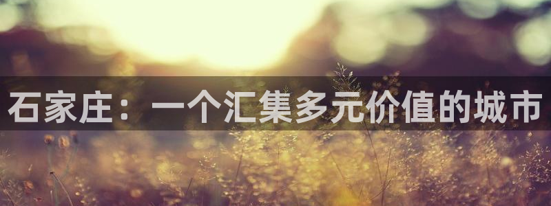 新宝5登陆：石家庄：一个汇集多元价值的城市