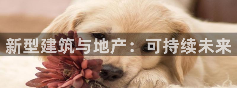 新宝5如何注册：新型建筑与地产：可持续未来