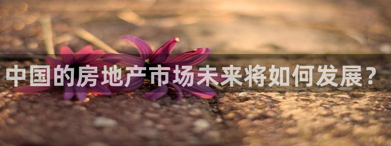 新宝5王问74OOO5：中国的房地产市场未来将如何发展？