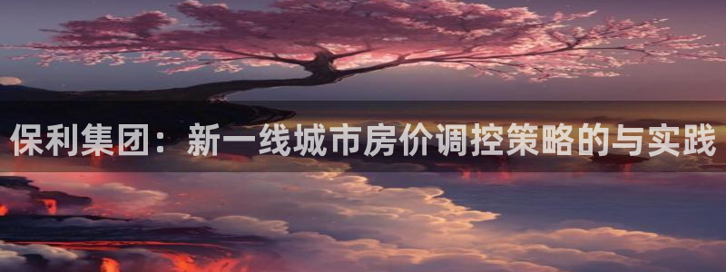 老新宝5授权登录：保利集团：新一线城市房价调控策略的与实践