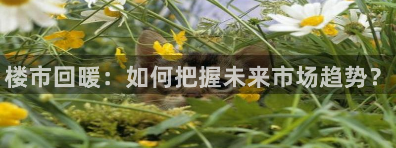 新宝5登录：楼市回暖：如何把握未来市场趋势？