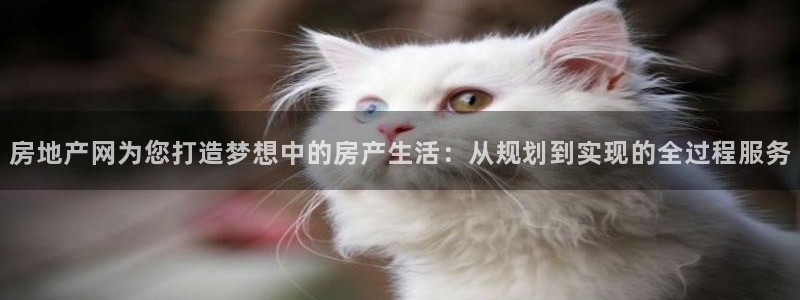 新宝5官网：房地产网为您打造梦想中的房产生活：从规划到实现的