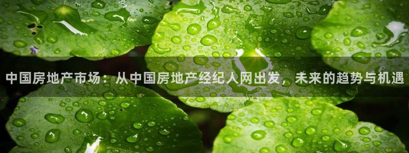 新宝rm5：中国房地产市场：从中国房地产经纪人网出发，未来的