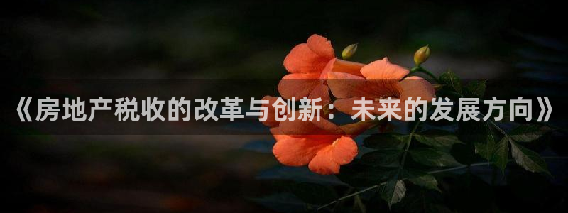 新宝5平台登录：《房地产税收的改革与创新：未来的发展方向》