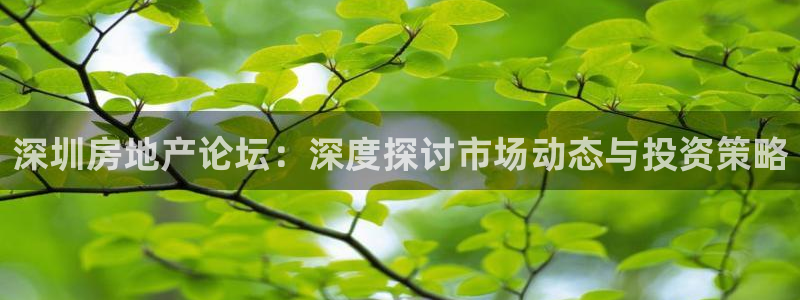 新宝5登录界面：深圳房地产论坛：深度探讨市场动态与投资策略
