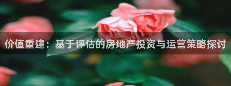 新宝5怎么下载到桌面：价值重建：基于评估的房地产投资与运营策