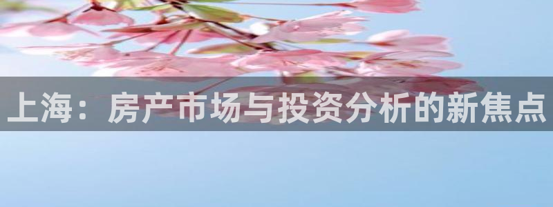 新宝5登录注册：上海：房产市场与投资分析的新焦点