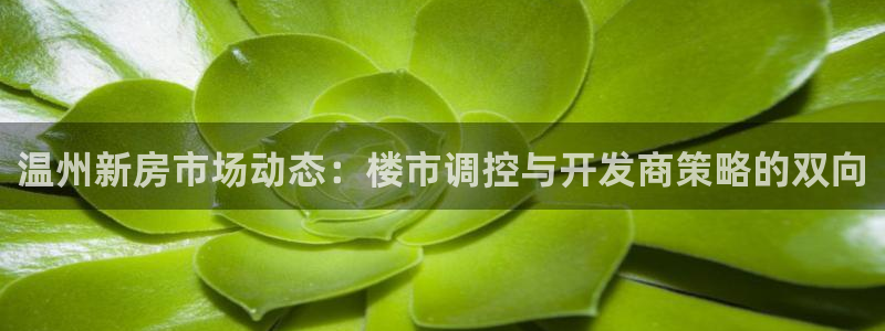 新宝5娱乐登陆