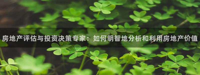 新宝5娱乐家：房地产评估与投资决策专家：如何明智地分析和利用
