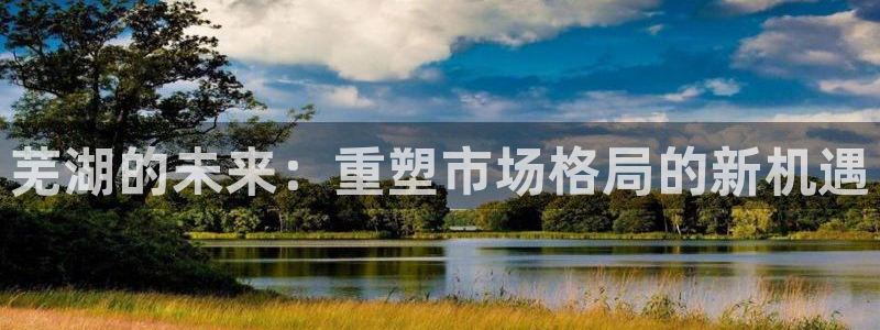 新宝5官网平台：芜湖的未来：重塑市场格局的新机遇