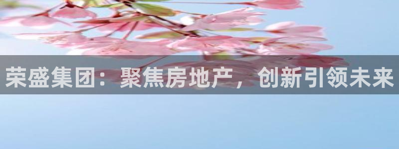 新宝5d：荣盛集团：聚焦房地产，创新引领未来